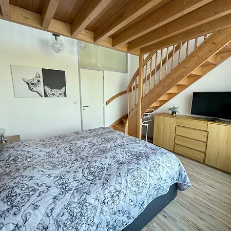 Miky Klinovec Garden Semesterbostad Loučná pod Klínovcem